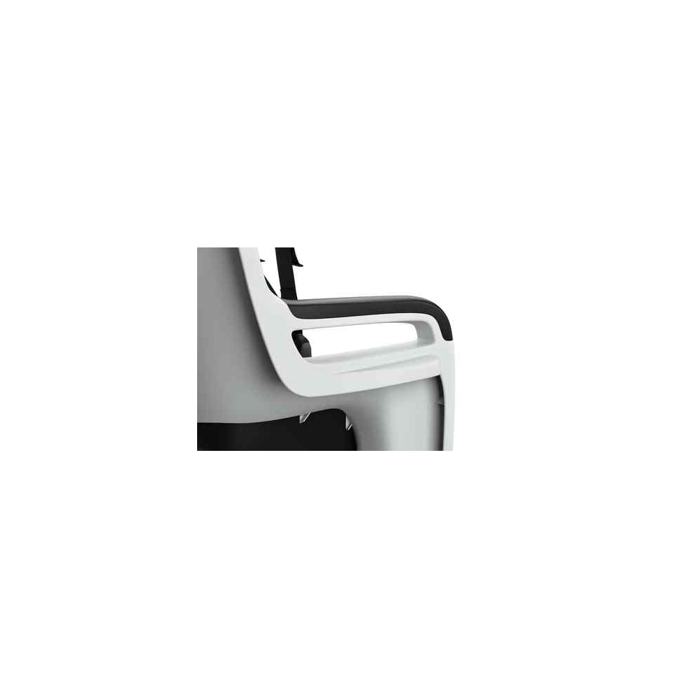 Dviračio kėdutė Thule Ride Along 2 - Frame Mount, Light Gray-Judėjimui, Dviračių kėdutės ir jų priedai-e-vaikas
