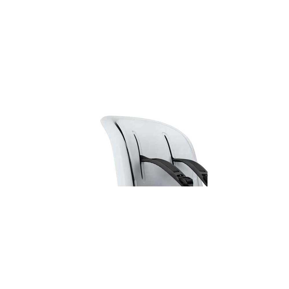 copy of Dviračio kėdutė Thule Ride Along 2 - Frame Mount, Dark