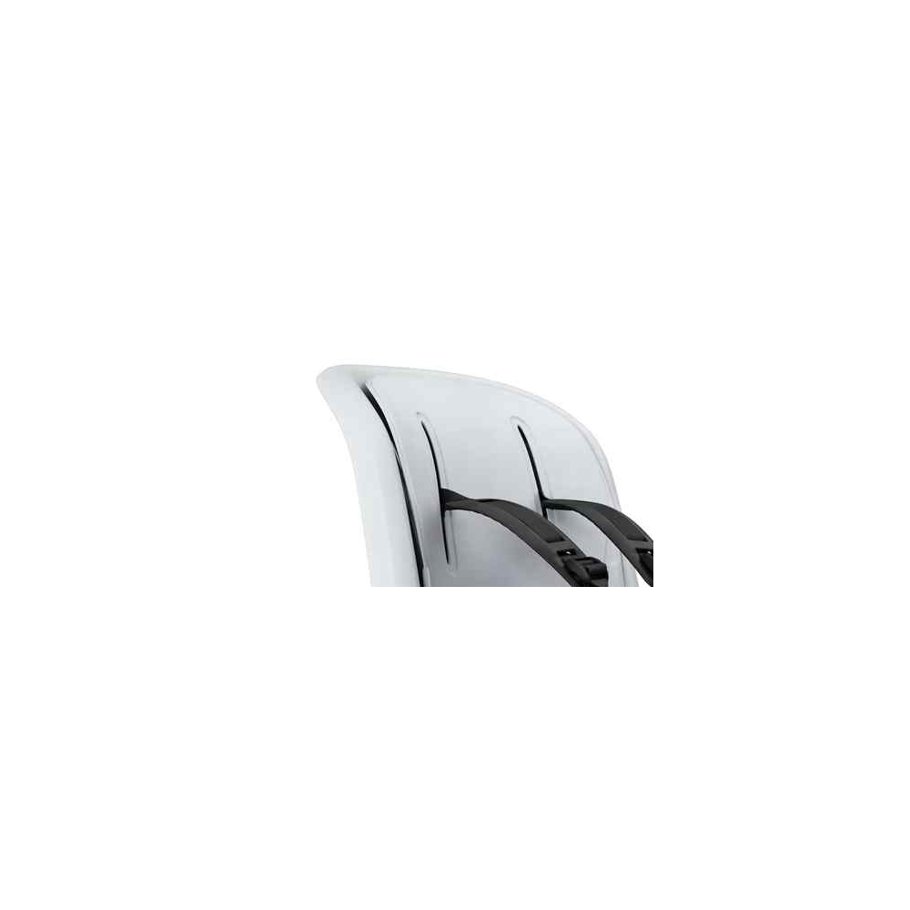 Dviračio kėdutė Thule Ride Along 2 - Frame Mount, Light Gray-Judėjimui, Dviračių kėdutės ir jų priedai-e-vaikas