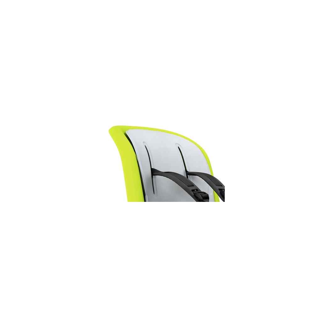 copy of Dviračio kėdutė Thule Ride Along 2 - Frame Mount, Dark
