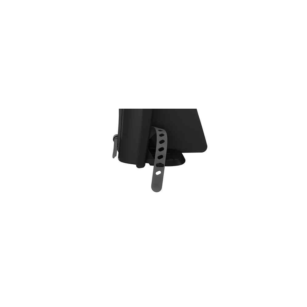 Dviračio kėdutė Thule Ride Along Lite 2 - Frame Mount, Dark Gray-Judėjimui, Dviračių kėdutės ir jų priedai-e-vaikas