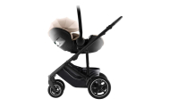 copy of CLOUD T I-SIZE Sepia Black | black