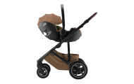 copy of CLOUD T I-SIZE Sepia Black | black