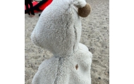 Wool coat Meri Nevada 122/128 beige