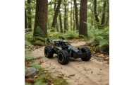 Nuotoliniu būdu valdomas didelio greičio kaskadininkų automobilis 1:18 18km/h 2.4GHz
