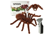 Nuotoliniu būdu valdomas TARANTULA voras + PILOTAS