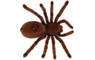 Nuotoliniu būdu valdomas TARANTULA voras + PILOTAS