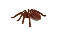 Nuotoliniu būdu valdomas TARANTULA voras + PILOTAS