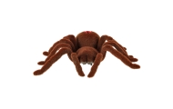 Nuotoliniu būdu valdomas TARANTULA voras + PILOTAS