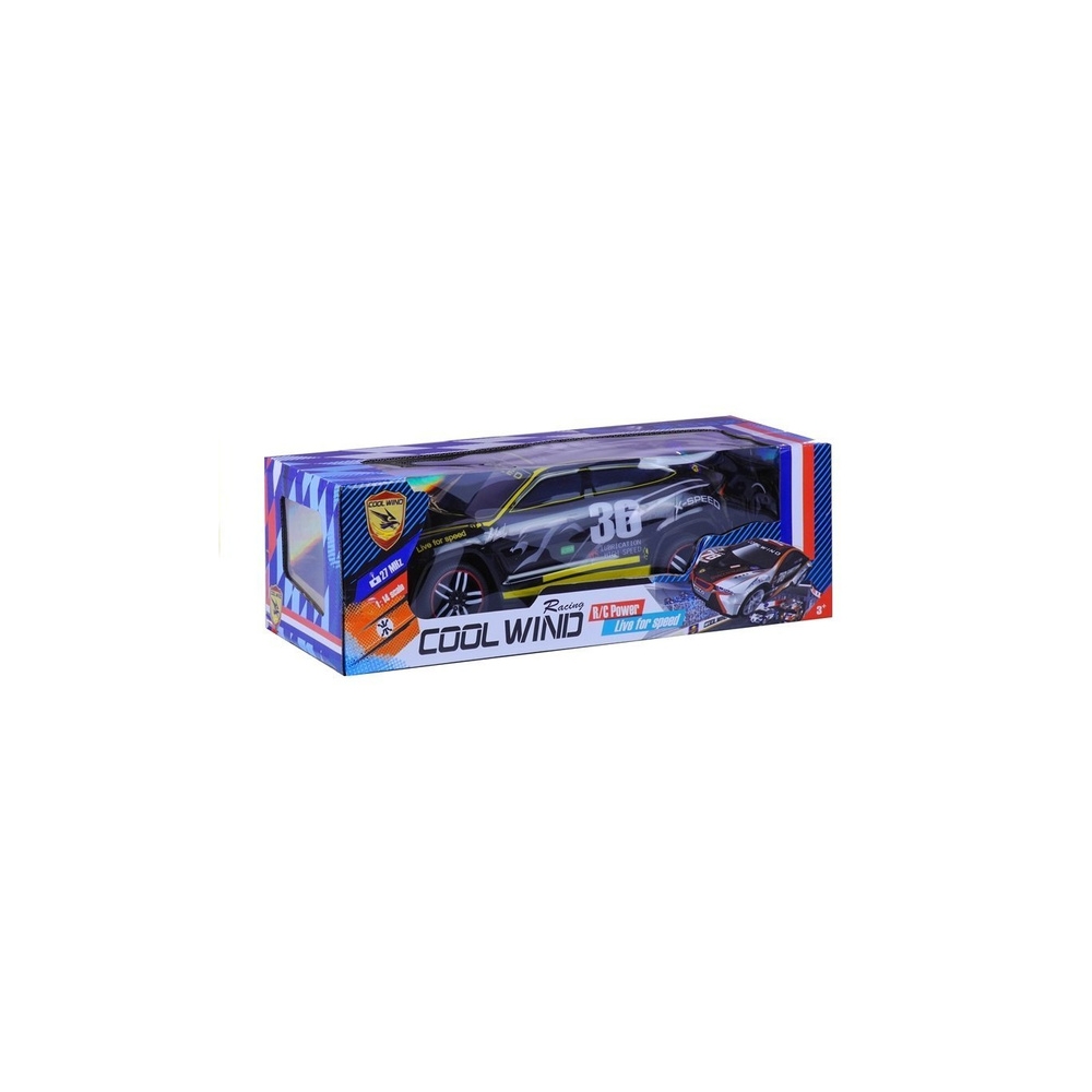 Nuotoliniu būdu valdomas sportinis automobilis Pilot R/C Black