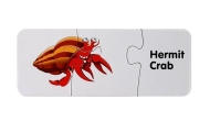 Educational Puzzle The world of the Oceans Puzzle 10 Connections