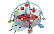 Ladybug Educational Mat Playpen Balls For Baby