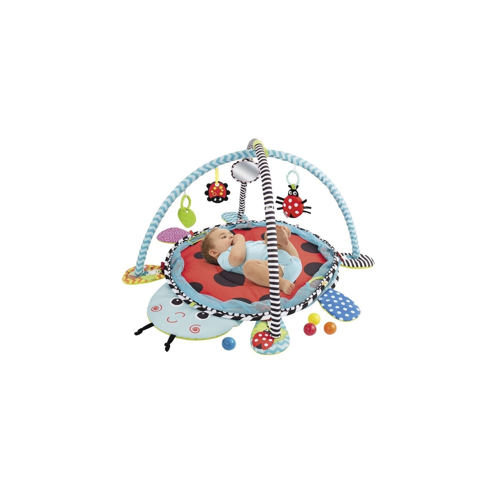 Ladybug Educational Mat Playpen Balls For Baby