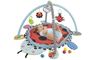 Ladybug Educational Mat Playpen Balls For Baby