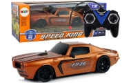 Nuotoliniu būdu valdomas R/C 1:18 Champion Pilot sportinis automobilis, Brown