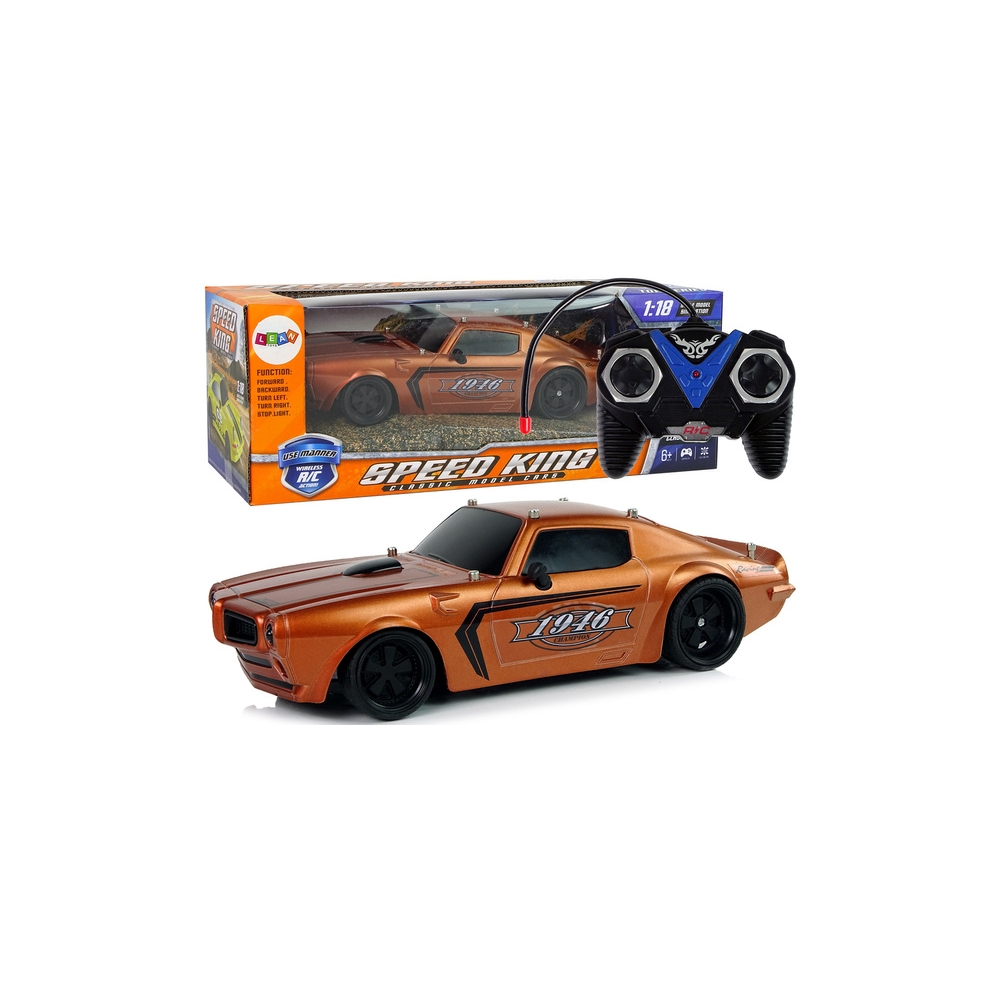 Nuotoliniu būdu valdomas R/C 1:18 Champion Pilot sportinis automobilis, Brown