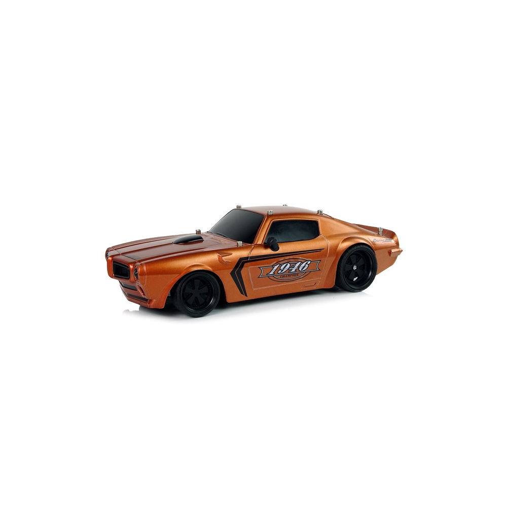 Nuotoliniu būdu valdomas R/C 1:18 Champion Pilot sportinis automobilis, Brown
