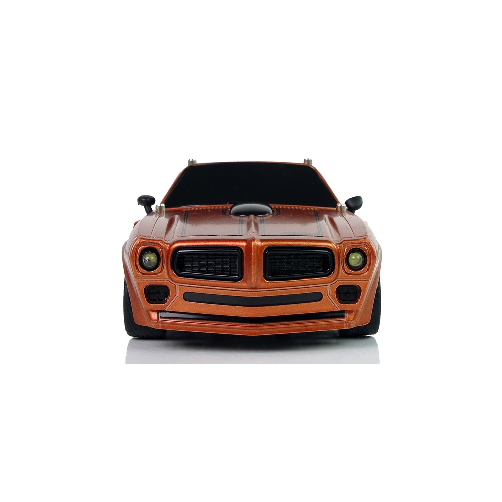 Nuotoliniu būdu valdomas R/C 1:18 Champion Pilot sportinis automobilis, Brown