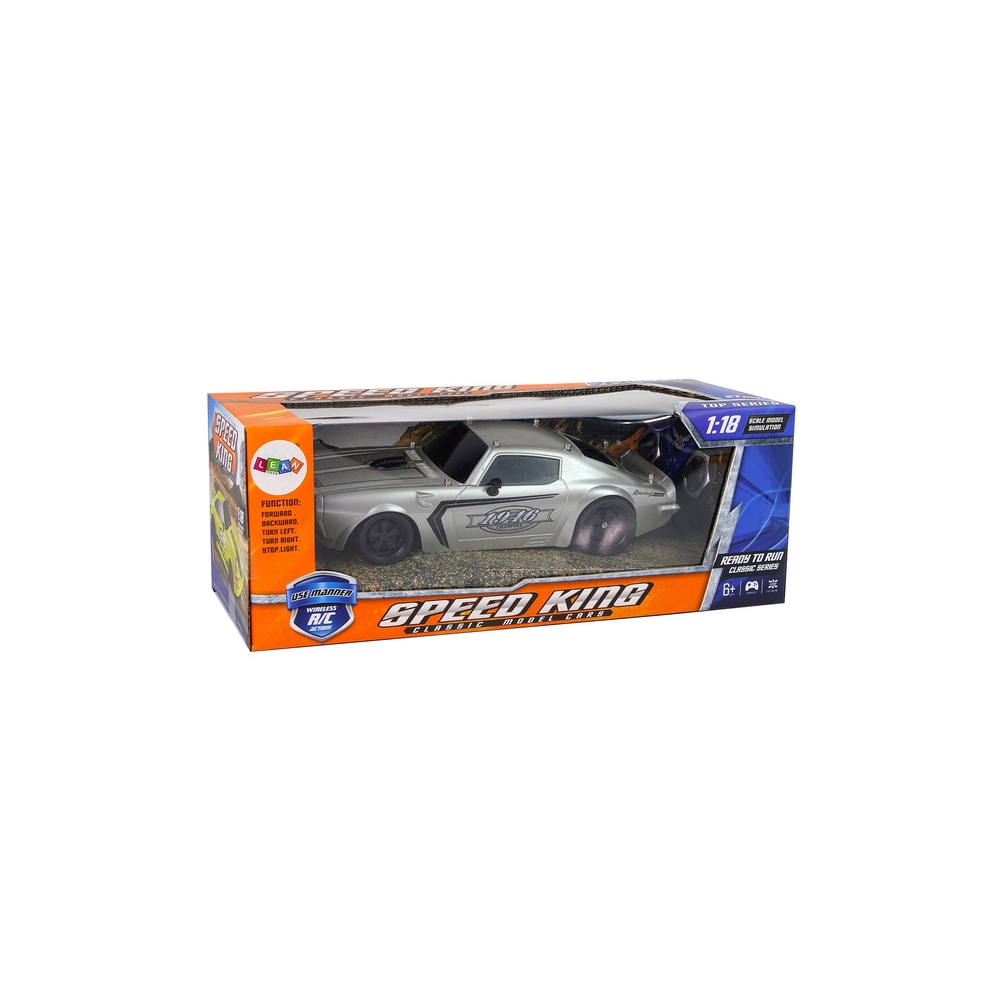 Nuotoliniu būdu valdomas R/C 1:18 Champion Pilot sportinis automobilis, Silver