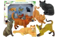 Set of 6 Figures  Domestic cats of various breeds