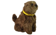 Interactive Plush Dog Soft fur Stroke its head and learn its functions