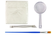 Archaeology Excavation Kit Dinosaur Skeleton Pteranodon 3D Hologram