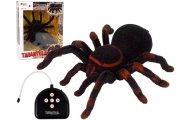 Zdalnie Sterowany Pająk Tarantula Czarny R/C