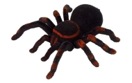 Zdalnie Sterowany Pająk Tarantula Czarny R/C
