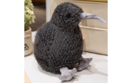 Plush Kiwi Bird Plush Toy Mascot Cuddly Toy Black 17cm