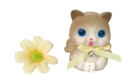 Baby Doll Emily Long Hair Kitten Flower