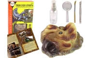 Dinozaurų Triceratops edukacinis kasinėjimo rinkinys