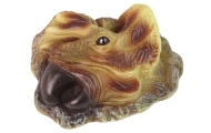Dinozaurų Triceratops edukacinis kasinėjimo rinkinys