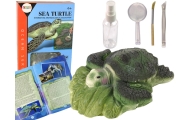Ammonite Turtle Excavation Educational Kit