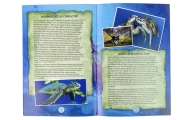 Ammonite Turtle Excavation Educational Kit