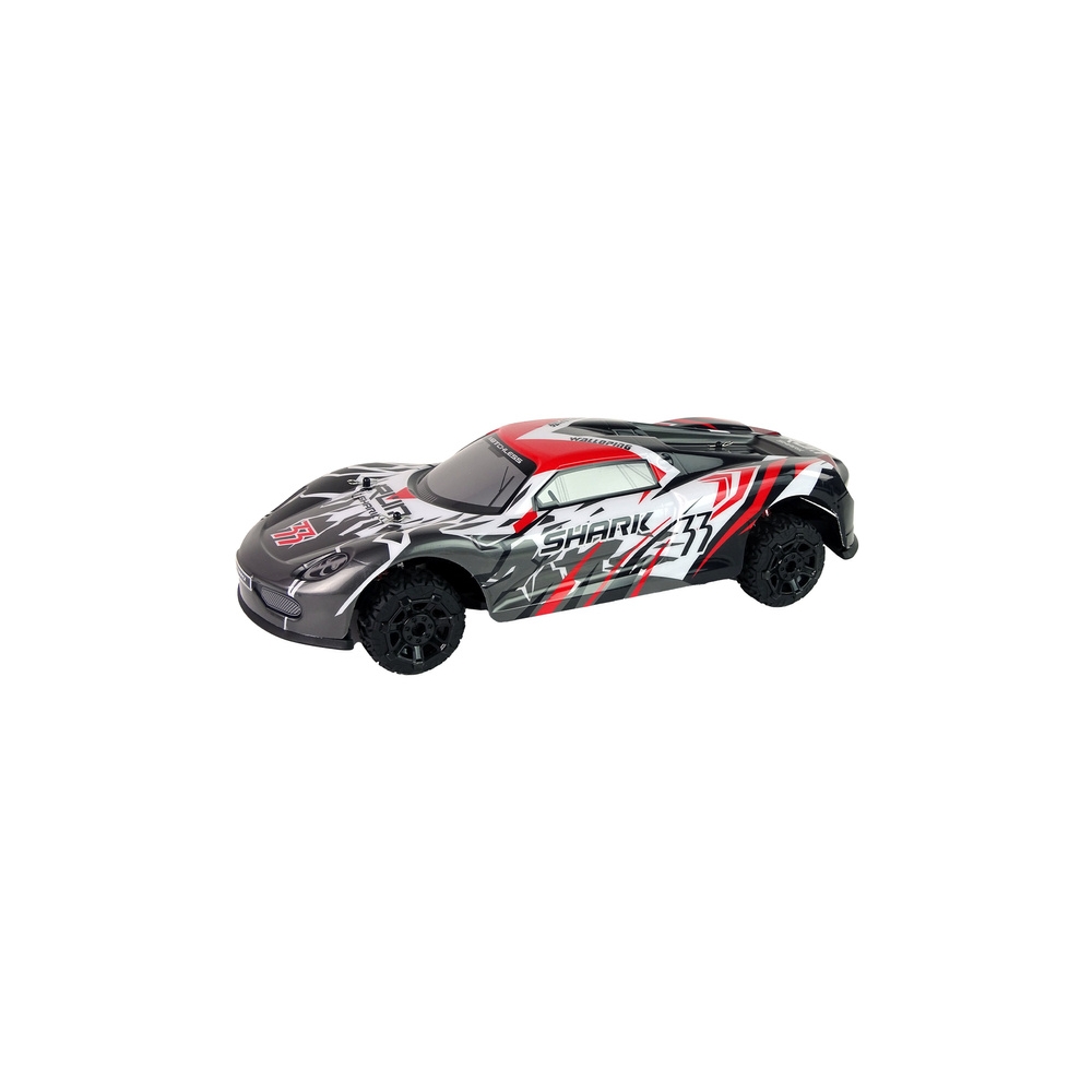 Nuotoliniu būdu valdomas Sportinis automobilis R/C 1:8, Pilka/balta