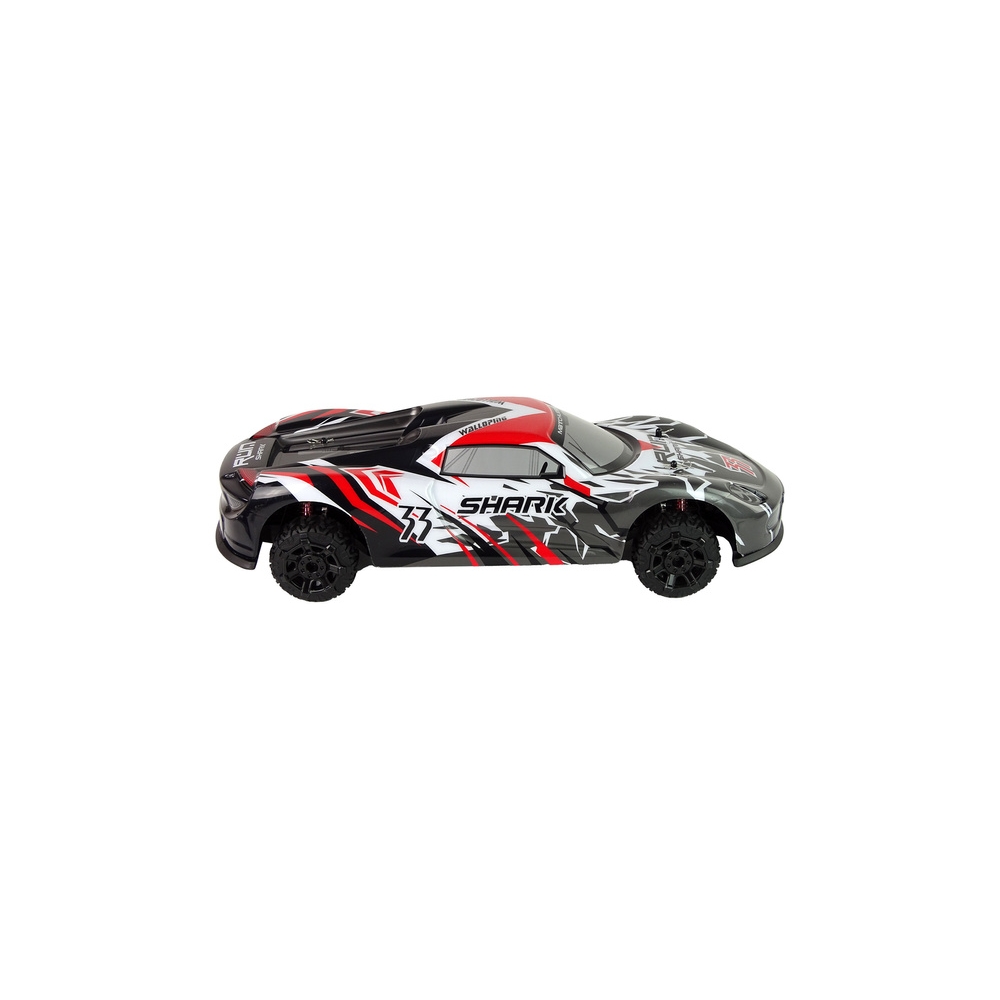 Nuotoliniu būdu valdomas Sportinis automobilis R/C 1:8, Pilka/balta