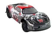 Nuotoliniu būdu valdomas Sportinis automobilis R/C 1:8, Pilka/balta