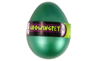 Hatching Magic Turtle Egg Growing 6 cm.