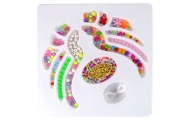 Jewellery Making Set Beads Pendants