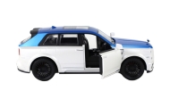 Nuotoliniu būdu valdomas R/C 1:20 automobilis, baltas/mėlynas