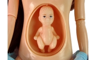 Baby Doll In Pregnant Blue Dress