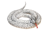 Plush Gray Snake Mascot 110 cm