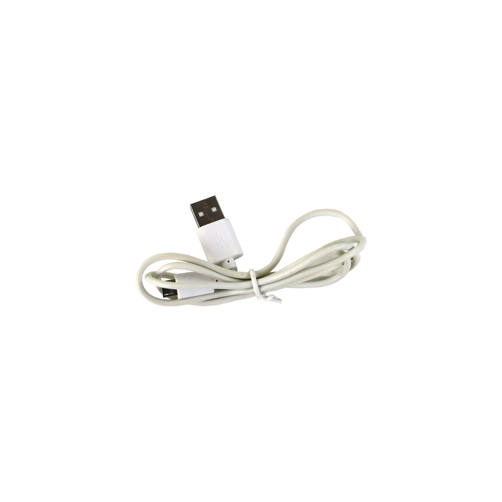 Dinozauras Pterozauras LED mikro USB kiaušinių lempa-Vaiko kambariui, Apšvietimas-e-vaikas