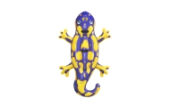 Dmuchana Salamandra Do Pływania 191 x 119 cm Bestway 41502