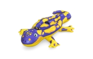 Dmuchana Salamandra Do Pływania 191 x 119 cm Bestway 41502