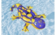 Pripučiamas plaukimo salamandras, 191 x 119 cm, „Bestway“ 41502-Žaislai, Lauko žaislai, Pripučiami ratai, žaislai, čiužiniai-e-v