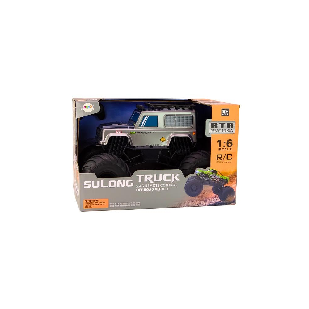 Didelis 2.4G RC visureigis 1:6 pilkos spalvos