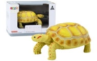 Collectible Figurine Tortoise Reptile Yellow C