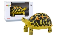 Collectible Figurine Turtle Reptile Yellow Black A