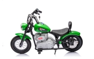 Battery-powered Motor A9902 36V Green